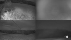 Sdružený snímek Bludný