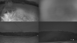 Sdružený snímek Bludný