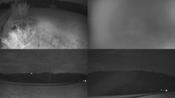 Sdružený snímek Bludný