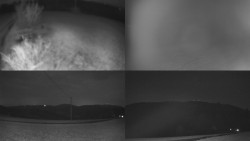 Sdružený snímek Bludný