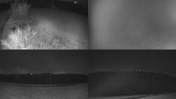 Sdružený snímek Bludný