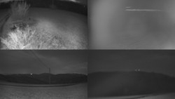 Sdružený snímek Bludný