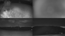 Sdružený snímek Bludný