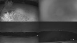 Sdružený snímek Bludný