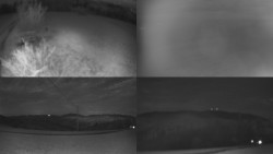 Sdružený snímek Bludný