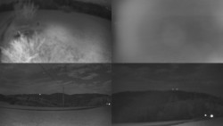 Sdružený snímek Bludný