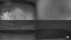 Sdružený snímek Bludný