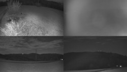 Sdružený snímek Bludný