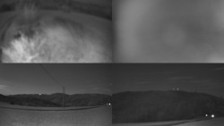 Sdružený snímek Bludný