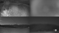 Sdružený snímek Bludný