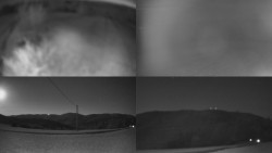 Sdružený snímek Bludný