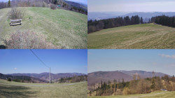 Sdružený snímek Bludný