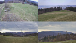 Sdružený snímek Bludný