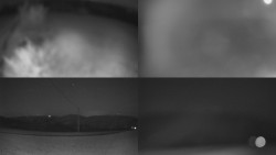 Sdružený snímek Bludný