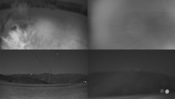 Sdružený snímek Bludný