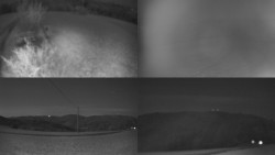 Sdružený snímek Bludný