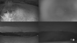 Sdružený snímek Bludný