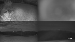 Sdružený snímek Bludný