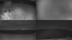 Sdružený snímek Bludný