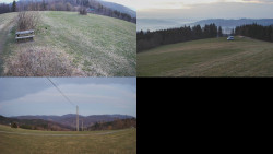 Sdružený snímek Bludný