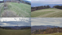 Sdružený snímek Bludný