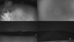 Sdružený snímek Bludný