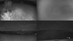 Sdružený snímek Bludný