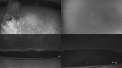 Sdružený snímek Bludný