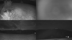 Sdružený snímek Bludný