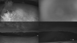 Sdružený snímek Bludný