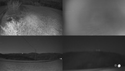 Sdružený snímek Bludný