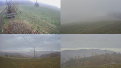 Sdružený snímek Bludný