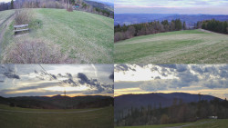 Sdružený snímek Bludný