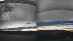 Sdružený snímek Bludný