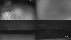 Sdružený snímek Bludný