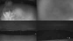 Sdružený snímek Bludný