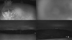 Sdružený snímek Bludný