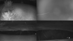 Sdružený snímek Bludný