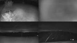 Sdružený snímek Bludný