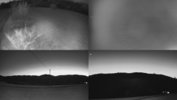 Sdružený snímek Bludný