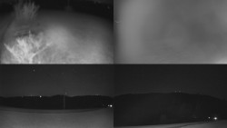 Sdružený snímek Bludný