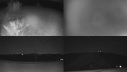 Sdružený snímek Bludný