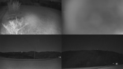 Sdružený snímek Bludný