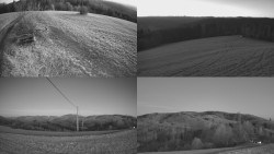 Sdružený snímek Bludný