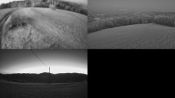 Sdružený snímek Bludný