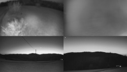 Sdružený snímek Bludný