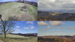 Sdružený snímek Bludný