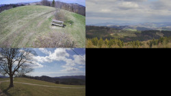 Sdružený snímek Bludný