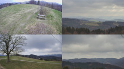 Sdružený snímek Bludný