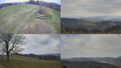 Sdružený snímek Bludný